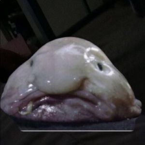 Meet your Posher, Gilberto